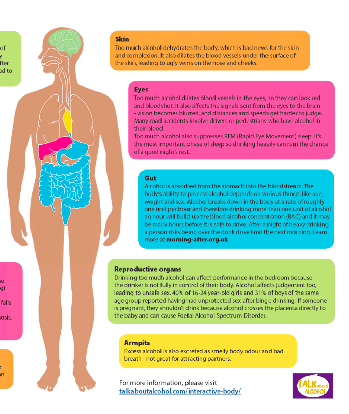 How too much alcohol affects the body